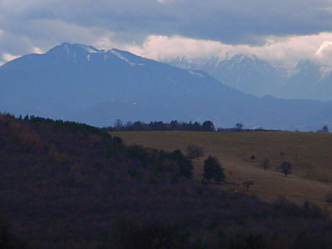 erdő 2010 január 1. 3