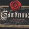 gambrinus-3