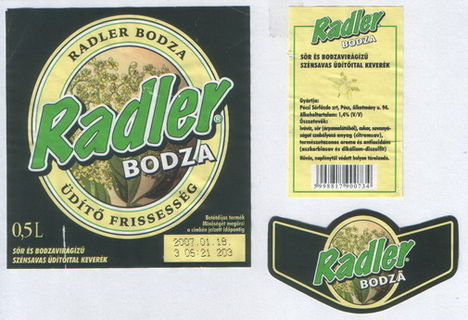 Radler bodza