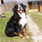 Bessy 12