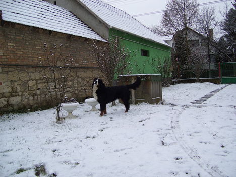 Bessy 20