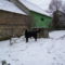 Bessy 20