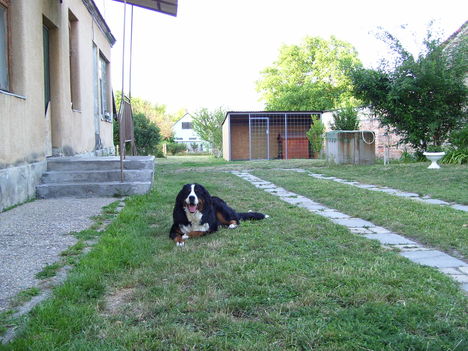 Bessy 28