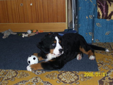 Bessy 2