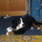 Bessy 2
