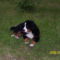 Bessy 3