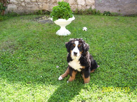 Bessy 9