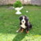 Bessy 9