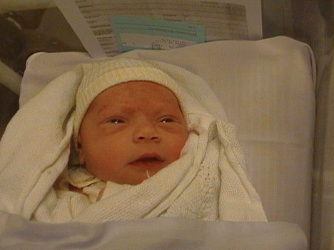 CAM_0016