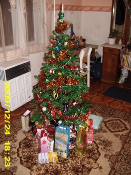 IMG_0040