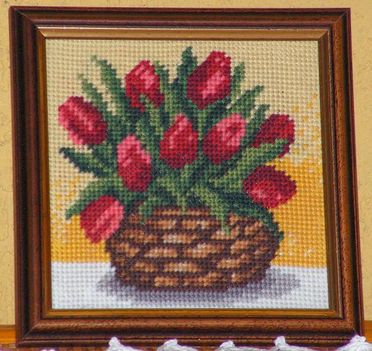 Tulipán