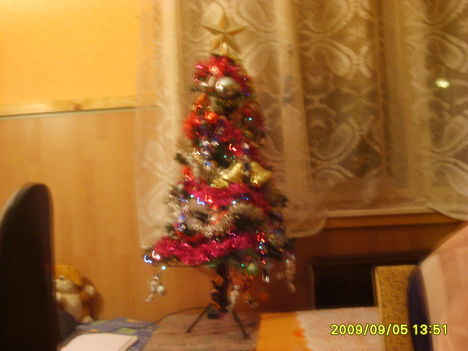 2009 Karácsony 10