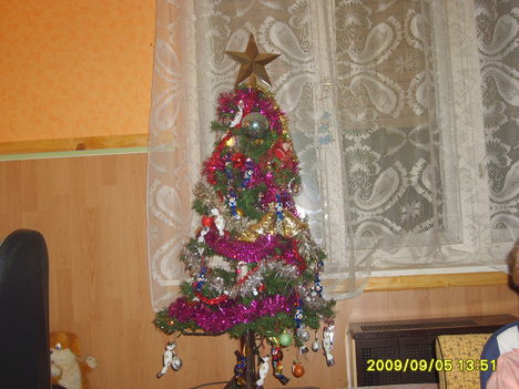 2009 Karácsony 9
