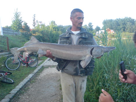 DSC00054