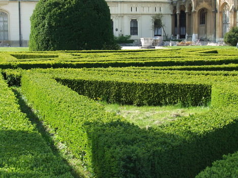 Kastély körüli park
