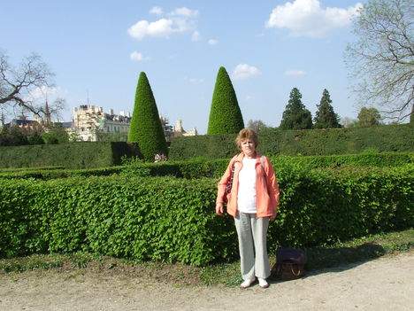 Kastély körüli park