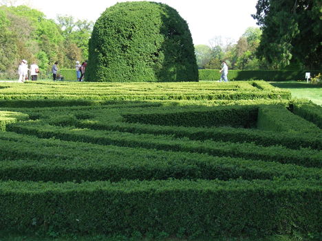 Kastély körüli park