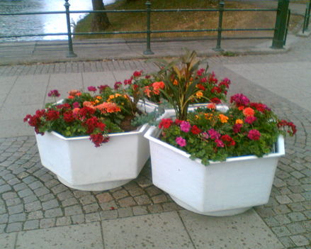Kép006