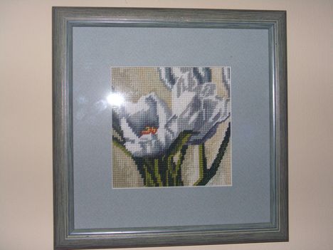 Tulipánok 