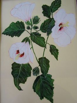 Hibiscus 2.