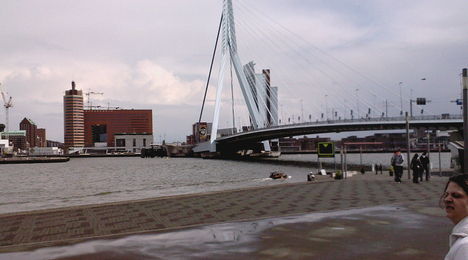 Rotterdam-Erasmus Híd/2007