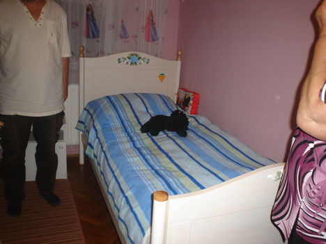 2009 szept 26  ez is az ajándékom