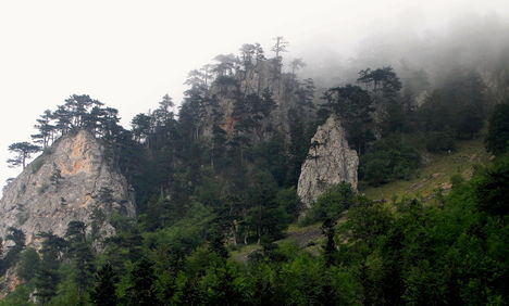 eső után a Sušica kanyonban