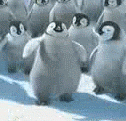 táncoló pingvinek