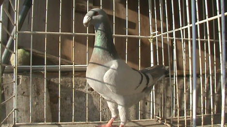 Kép 128