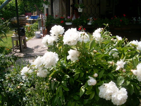 Df.2007.ápr