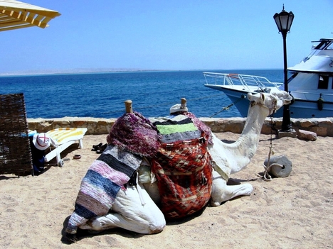 Egyiptomi tengerparton