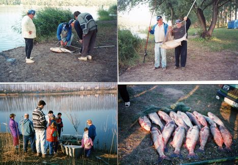 A jó horgász és az orvhorgász fogások a dányi tavon