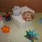 Origami kiállításom a Fehér Lóban 030