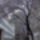 Pesti_tel_696500_65978_t