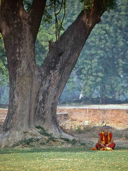 Sarnath, India[1]