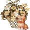 Cicus virágkosárral