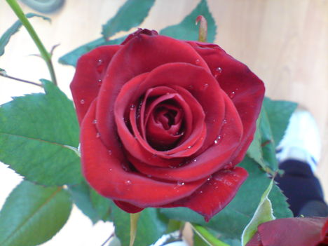 DSC00076