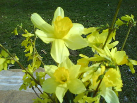 DSC00336