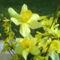 DSC00336
