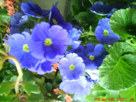 DSC00401