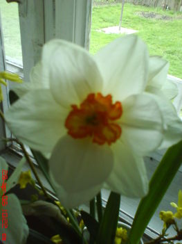 DSC00402
