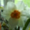DSC00402