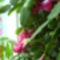 DSC00403