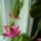DSC00404