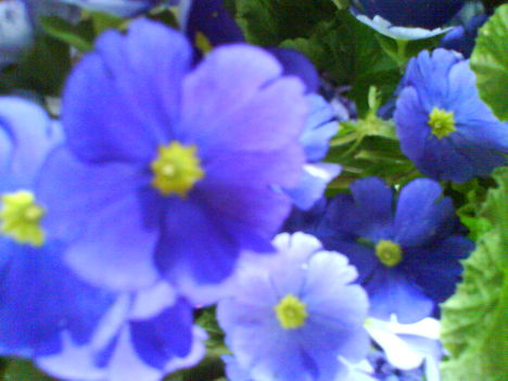 DSC00406