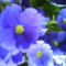 DSC00406