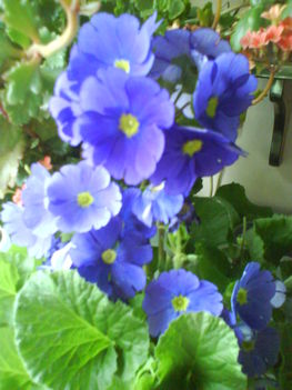 DSC00407