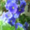 DSC00407