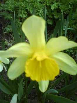 DSC00409