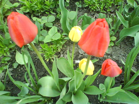 DSC00412